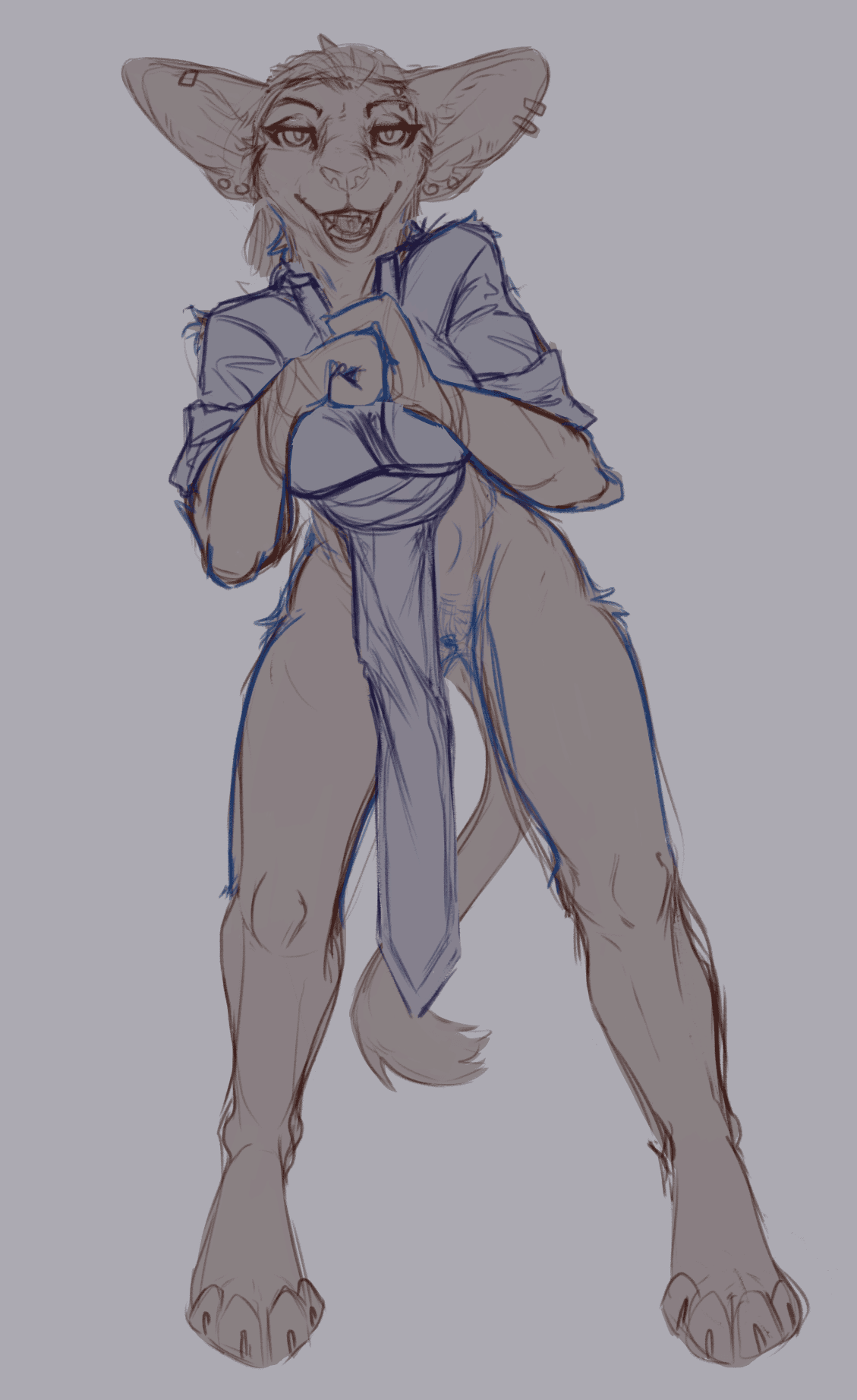 mehrsa tabard