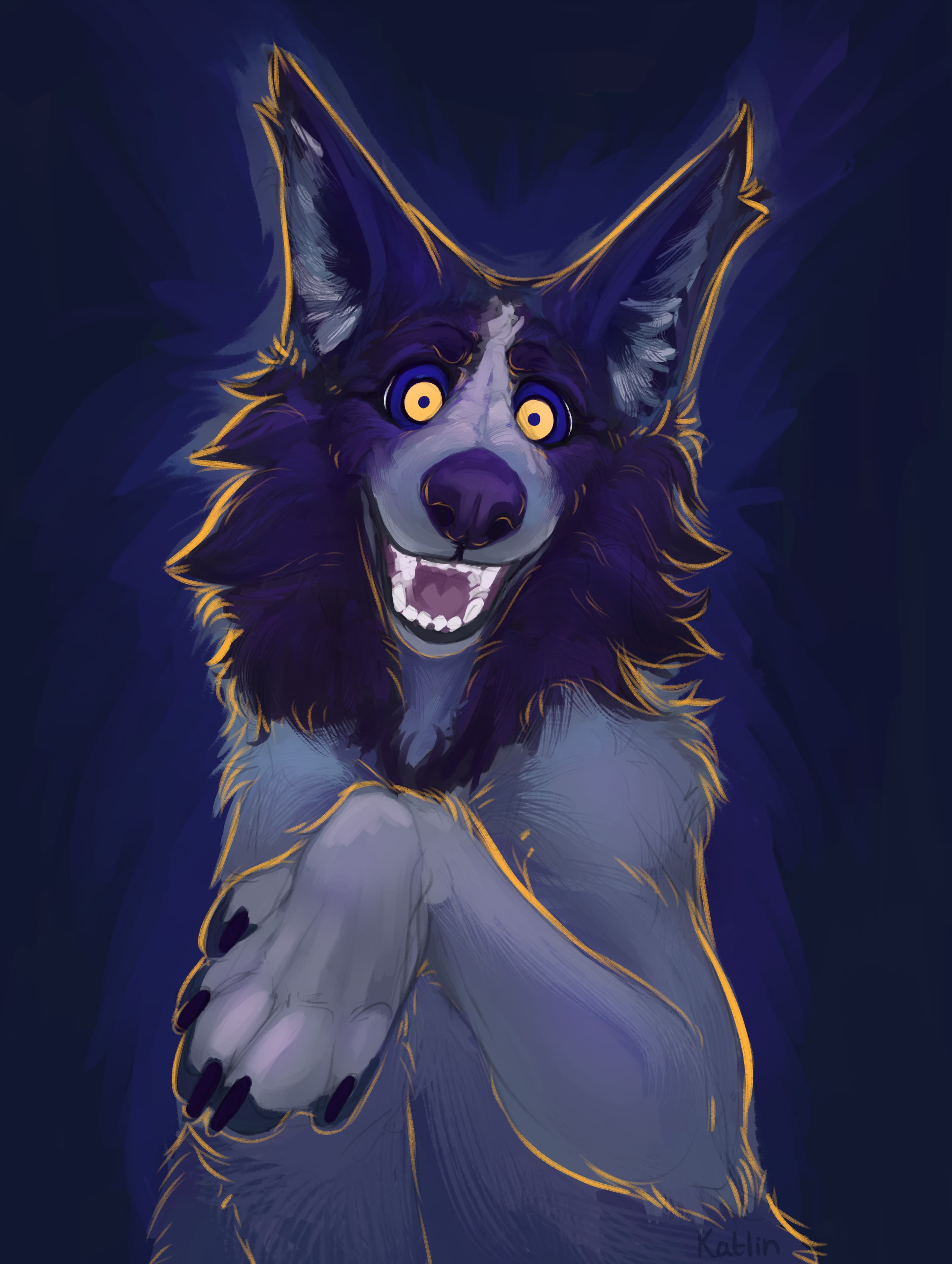 spooky collie